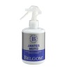 Jantes moto BELGOM - spray 250ml