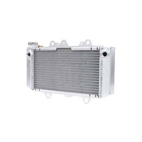 Radiateur Gros Volume Fluidyne 450 YFZR Yamaha Port Offert