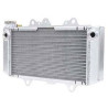 Radiateur Gros Volume Fluidyne 450 YFZR Yamaha Port Offert