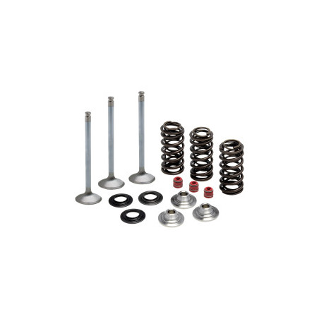 Kit de Conversion de Soupapes et Ressorts en acier inoxydable YFZR 450 Yamaha