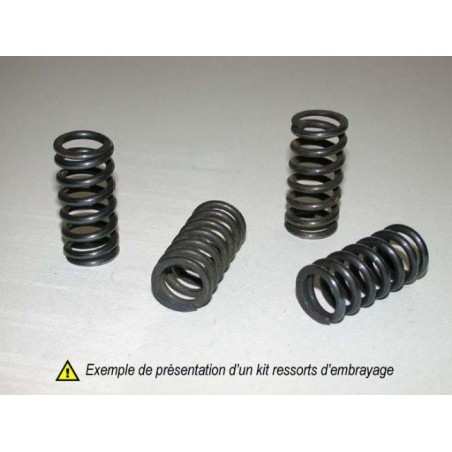 Kit Ressorts d'Embrayage 250 LTZ Suzuki