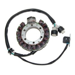 Stator ELECTROSPORT -...