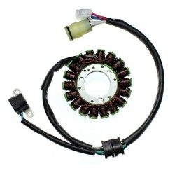 Stator ELECTROSPORT -...