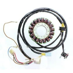 Stator ELECTROSPORT -...