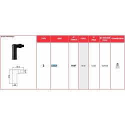 Anti-parasite NGK - L05EA