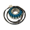 Stator ELECTROSPORT - Suzuki GSX-R600/750