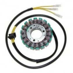 Stator ELECTROSPORT -...