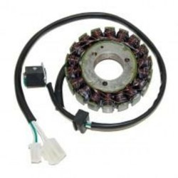 Stator ELECTROSPORT -...