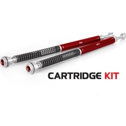 Kit cartouche YSS