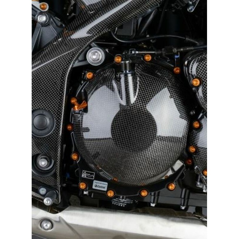 Carter moteur latéral LIGHTECH carbone brillant Triumph Speed Triple 1050