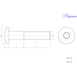 Vis LIGHTECH M6 X 30 Type...