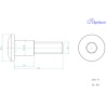 Vis LIGHTECH M6 X 25,5 Type 1013 Ergal or à l'unité