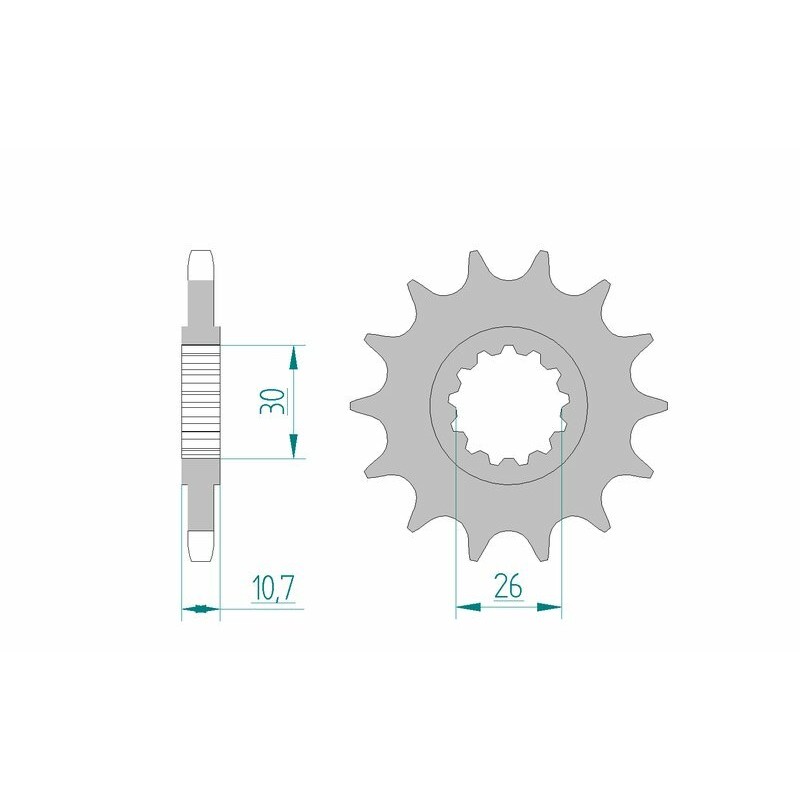 Pignon AFAM acier standard 21607 - 525